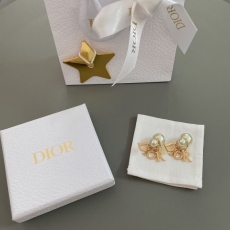 Christian Dior Earrings